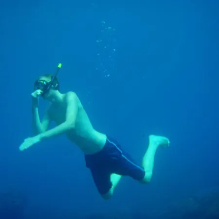 Casasvedese בית הארחה