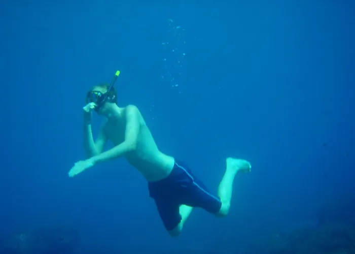 Casasvedese 게스트하우스